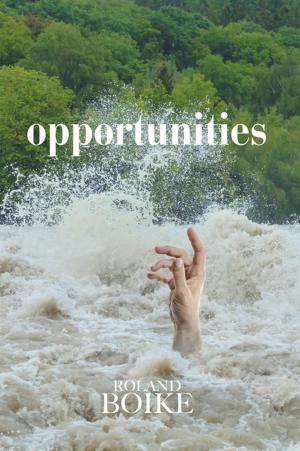 Book cover of Opportunities