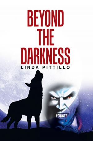 Cover of the book Beyond the Darkness by MC Conner