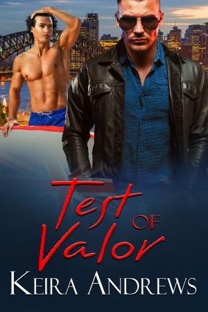 Cover of the book Test of Valor by Carole Walker Carter