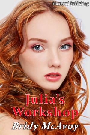 Cover of the book Julia's Workshop by Dan Strawn