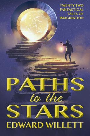 Cover of the book Paths to the Stars by Steve Matthew Benner