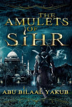 Cover of the book The Amulets of Sihr by Bill Hoyt