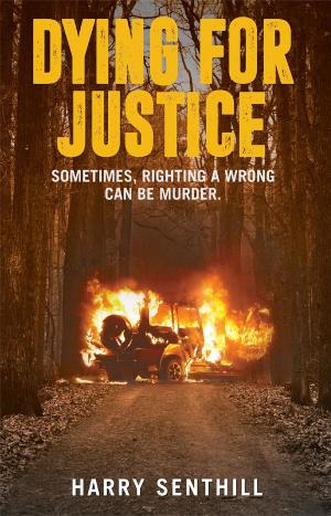 Cover of the book Dying For Justice by David Becerra Mayor