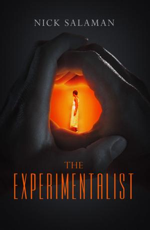 Cover of the book The Experimentalist by Alis Hawkins