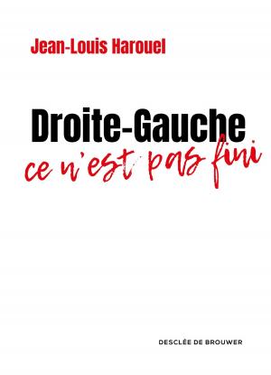 Book cover of Droite-Gauche : ce n'est pas fini