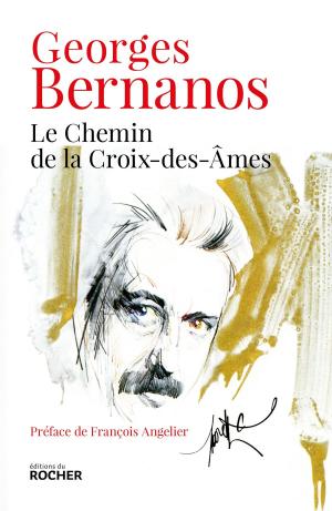 Book cover of Le Chemin de la Croix-des-Âmes