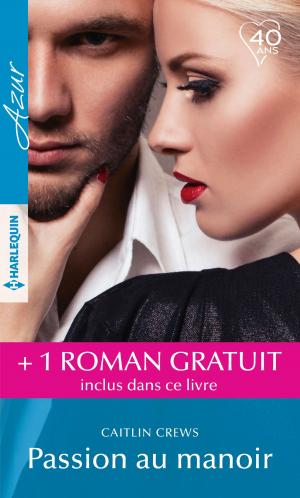 Cover of the book Passion au manoir - Un secret irrésistible by Kimberly Van Meter