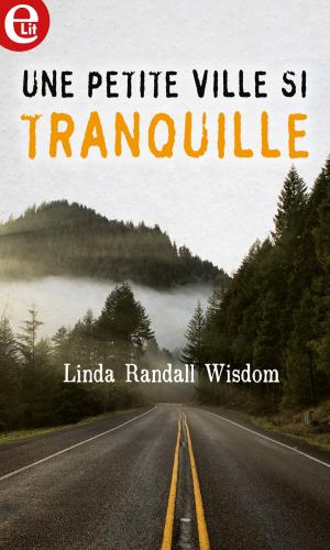 Cover of the book Une petite ville si tranquille by Susan Crosby, Michelle Dunaway