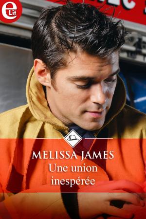 Cover of the book Une union inespérée by Amanda Stevens