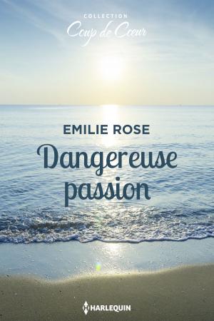 Cover of the book Dangereuse passion by Karin Baine
