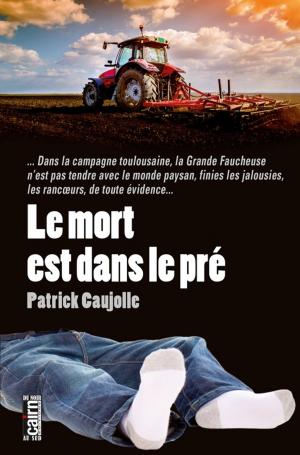 Cover of the book Le Mort est dans le pré by Raymond San Geroteo