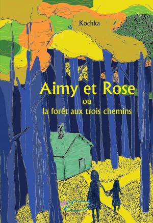 Cover of the book Aimy et Rose by Yves Pinguilly