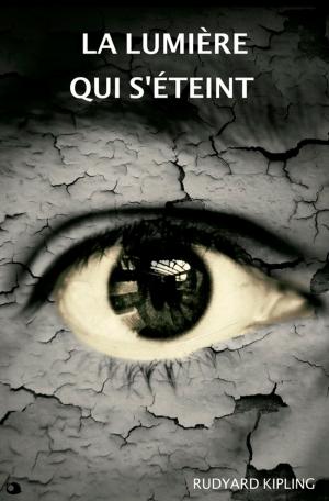 Cover of the book La lumière qui s'éteint by David Dvorkin, Daniel Dvorkin