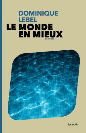 Book cover of Le Monde en mieux