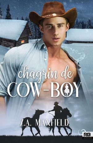 Cover of the book Chagrin de cow-boy by Eva Davios