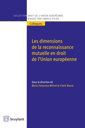 Cover of the book Les dimensions de la reconnaissance mutuelle en droit de l'Union européenne by Thierry Bonneau