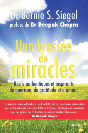 Book cover of Une brassée de miracles