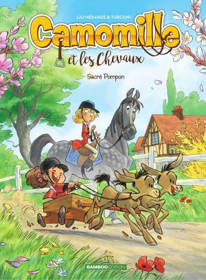Cover of the book Camomille - Tome 2 by Stephen Desberg