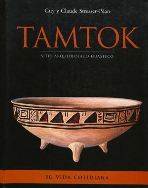 Cover of the book Tamtok, sitio arqueológico huasteco. Volumen II by Cécile Gouy-Gilbert