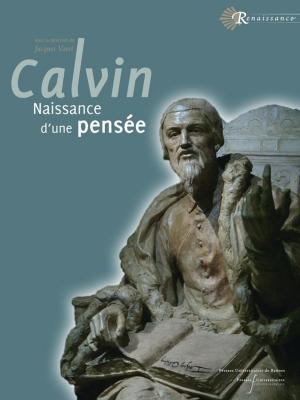 Cover of Calvin