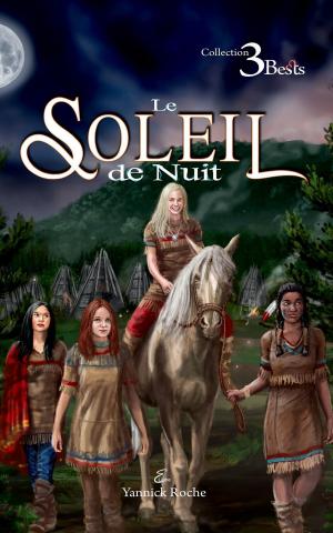 Cover of the book Le Soleil de Nuit by Aleksandr Jackson