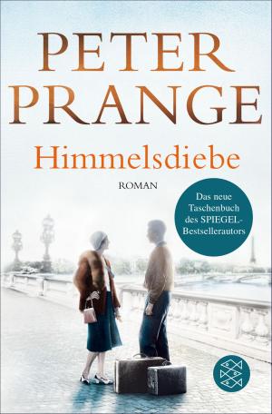 Cover of the book Himmelsdiebe by Alfred Döblin, Alexander Honold