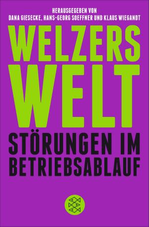 Cover of the book Welzers Welt by Cecelia Ahern