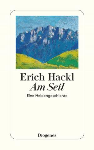 Cover of the book Am Seil by Erich Hackl