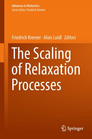 Cover of the book The Scaling of Relaxation Processes by Christo Boyadjiev, Maria Doichinova, Boyan Boyadjiev, Petya Popova-Krumova
