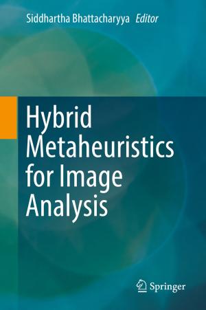 Cover of the book Hybrid Metaheuristics for Image Analysis by Ricardo Almeida, Dina Tavares, Delfim F. M. Torres