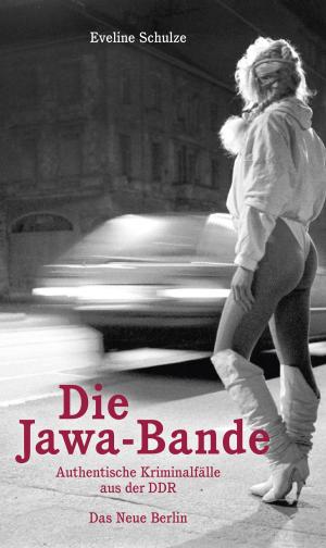 Cover of the book Die Jawa-Bande by Lutz Niemczik