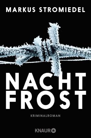 Book cover of Nachtfrost