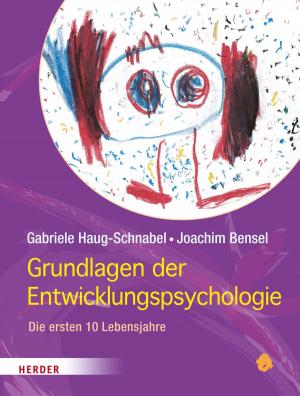 Cover of the book Grundlagen der Entwicklungspsychologie by Georg Langenhorst