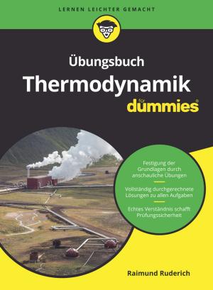 Cover of the book Übungsbuch Thermodynamik für Dummies by Jeanne Boyarsky, Scott Selikoff