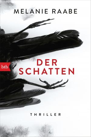 Cover of the book Der Schatten by Yrsa Sigurdardóttir