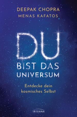 Cover of the book Du bist das Universum by Monnica Hackl