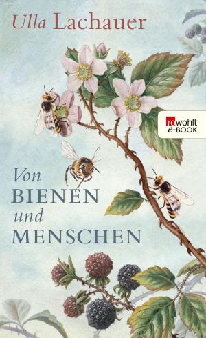 Cover of the book Von Bienen und Menschen by Helmut Schümann