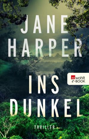 Cover of the book Ins Dunkel by Inge Jens