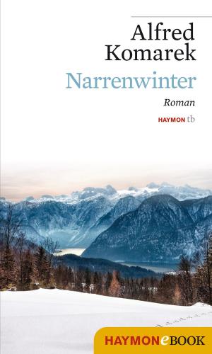 Cover of the book Narrenwinter by Jürg Amann