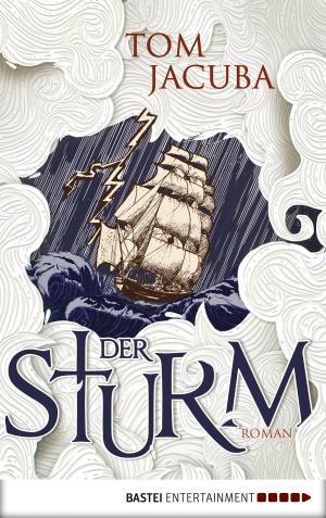 Cover of the book Der Sturm by Brian Kittrell