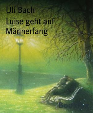 Cover of the book Luise geht auf Männerfang by Danny Wilson
