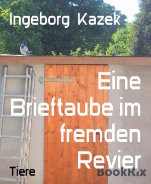 Cover of the book Eine Brieftaube im fremden Revier by Julie Steimle