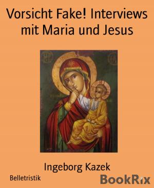 Book cover of Vorsicht Fake! Interviews mit Maria und Jesus