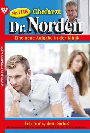 Cover of the book Chefarzt Dr. Norden 1118 – Arztroman by Patricia Vandenberg