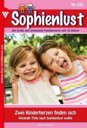 Cover of the book Sophienlust 201 – Familienroman by Michaela Dornberg