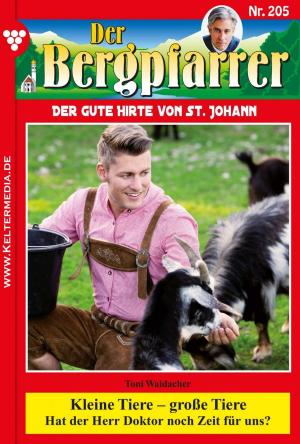 Cover of the book Der Bergpfarrer 205 – Heimatroman by U.H. Wilken