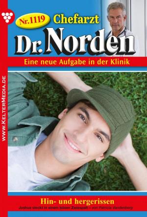 bigCover of the book Chefarzt Dr. Norden 1119 – Arztroman by 