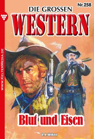 Cover of the book Die großen Western 258 by Tessa Hofreiter