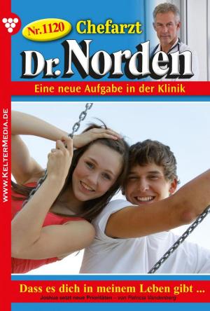 Cover of the book Chefarzt Dr. Norden 1120 – Arztroman by Lisa Simon