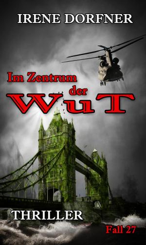 Cover of the book Im Zentrum der Wut by Horst Ropertz